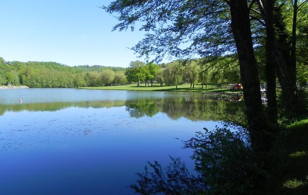 Reflets sur le Lot