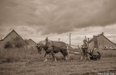 Retour sur le passé.