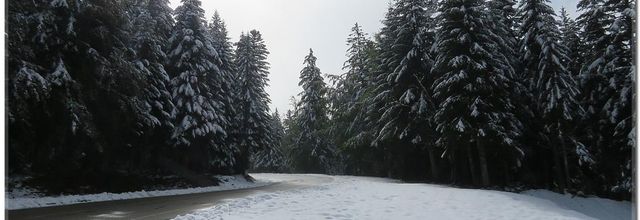 LES PREMIERES NEIGES LE 27:09:2020