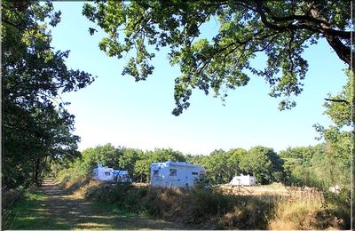 1067 - Larmor-Baden, dans le Morbihan (56) (Chez Popol) 
