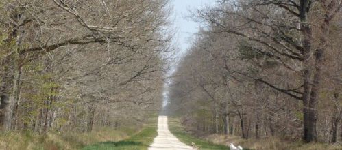 Promenade