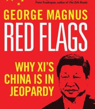 Download free electronic book Red Flags: Why Xi's China Is in Jeopardy