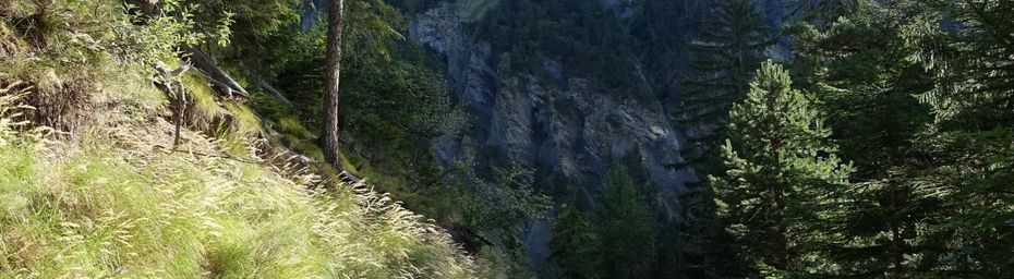 Vertigineux Grand Bisse de Lens