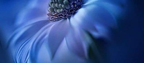 Vertige de l’Amour