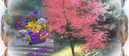 NATURE FLEURS ANIMAUX