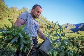 Un autre homme étonnant ... 