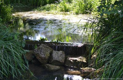 Sèvres : L'Île de Monsieur : Un peu d'histoire