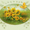 Cartonnettes - Tournesol ! 2015