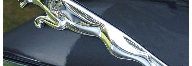 Pornic, Rendez-vous JAGUAR 