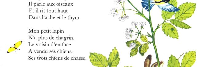 Maurice Carême - Mon petit lapin