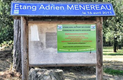 Etang Adrien Menereau - Haute-Goulaine (44)
