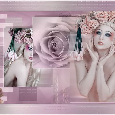 Beauty Magnolia's