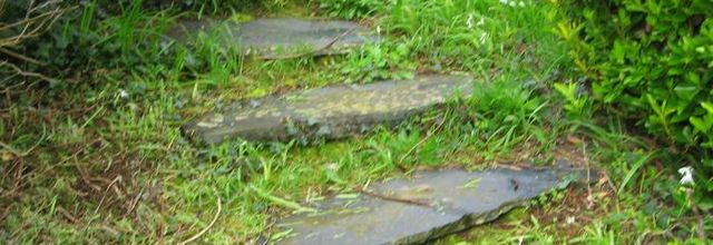  tout simplement jardin .....   (  ma série  dans les jardins ) 