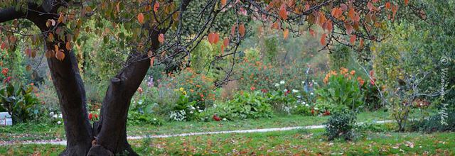 Au Jardin des Plantes ...