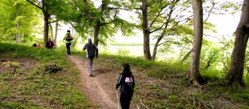 Sortie à la forêt de Guines Dimanche 18 Mai