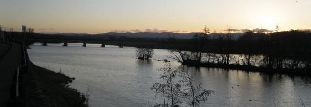 Roanne..