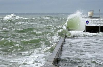 Les rois de la glisse 
