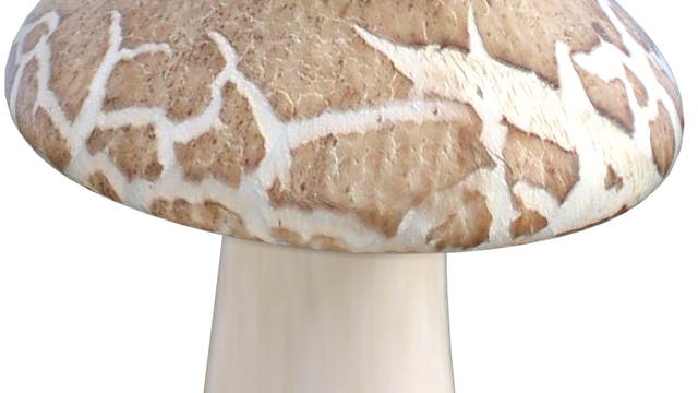 Image de champignon (tube-render-png)