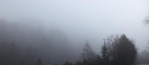 Hier, balade dans la brume