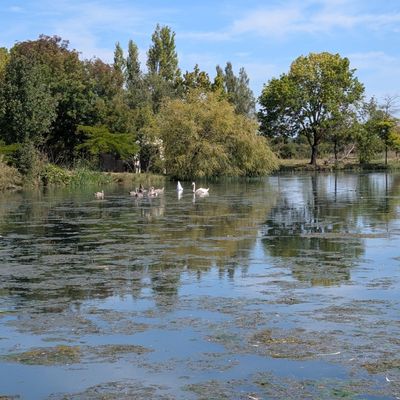 le port des Monards (17)