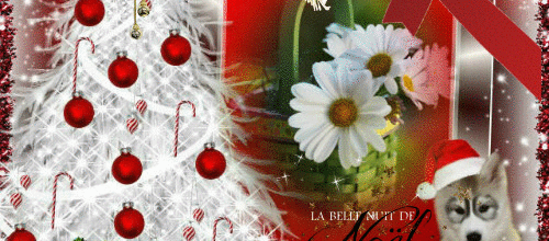 Joyeux Noël à vous tous et toutes !!!