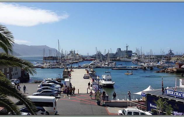  Le petit port de Simon's Town et son "Plongeur équipé" (Standby diver) - Afrique du Sud