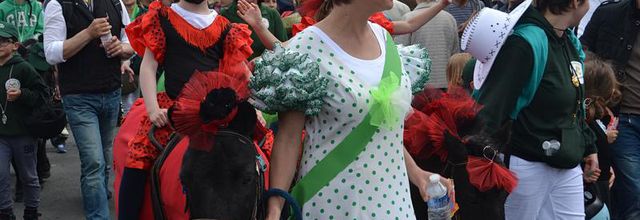 Rambouillet : Fête du Muguet : défilé (3)