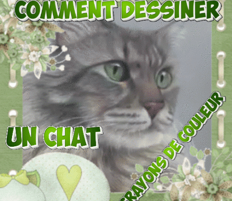 Dessin et peinture - vidéo 4346 : Comment dessiner ou peindre un chat ? - crayons de couleur.
