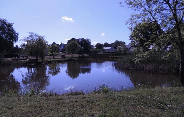 reflets de fin de journée 