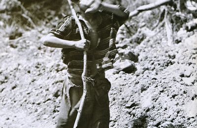 MANGA | La fillette au drapeau blanc