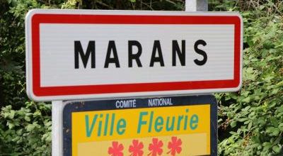 MARANS (17)