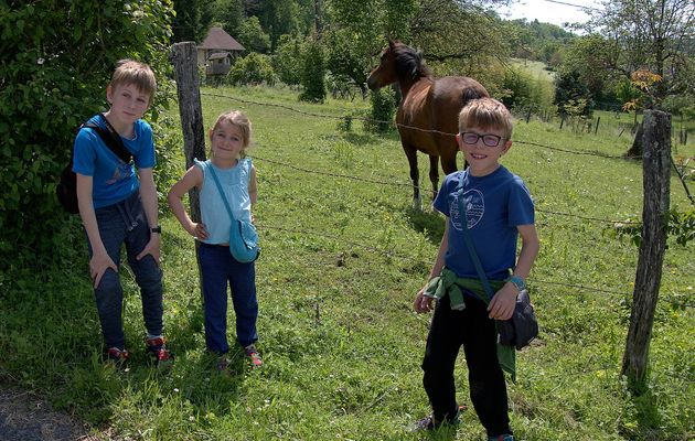 Le 30 mai : Balade en Valdaine