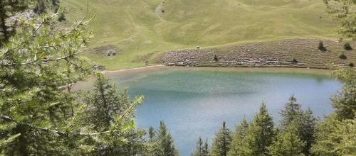 Le Lac aux demoiselles et autres nouvelles, C. F. Ramuz (Zoé poche)
