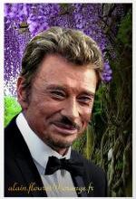 Fond ecran johnny hallyday005