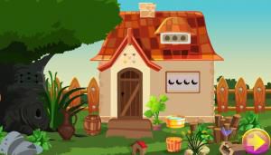 PG Owl escape adventure