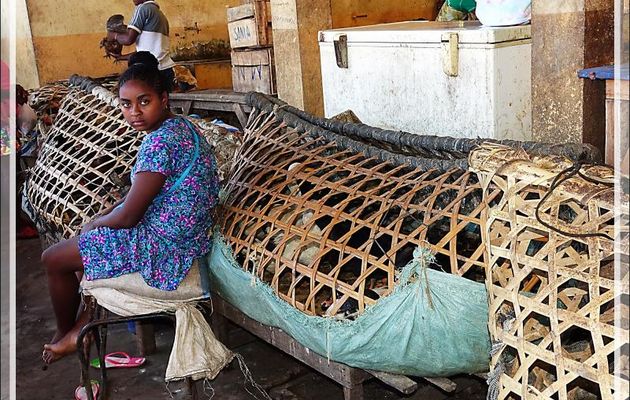 Marché de Hellville : le coin des volailles - Nosy Be - Madagascar