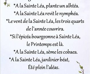 Dictons et Fête du jour Léa  + grille prénom !