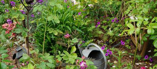 Un instant au jardin : fouilli printanier