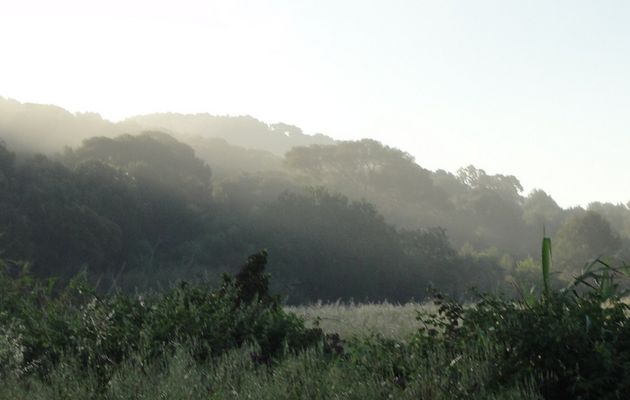 Le 13/05/2017: Brume en Méditerranée