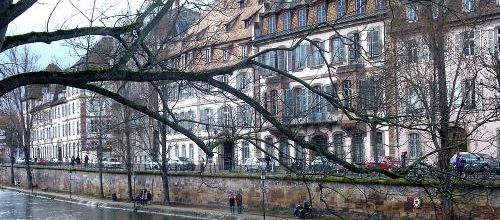 Les cigognes sont de retour à Strasbourg