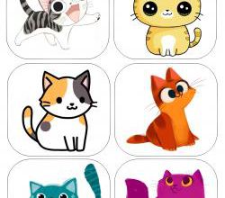 Des images pour mes petits chatons