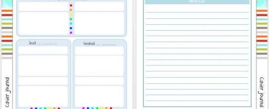 Cahier journal v1