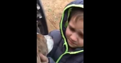 Émouvantes retrouvailles d'un petit garçon avec son chien disparu