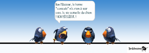 Queue leu leu d'oiseaux bleus.