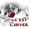 Cartonnettes Hiver ! 2015
