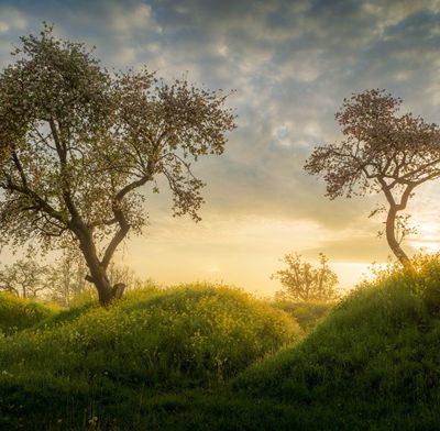 Dans le viseur de Paul ...