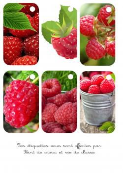 Cartonnettes framboises