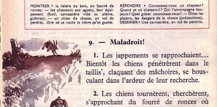 Dumas CE2 S3 Perdrix, lièvres, lapins