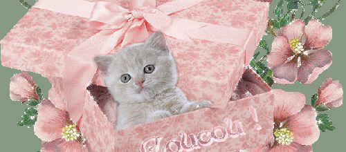 Des fleurs pour Samira !