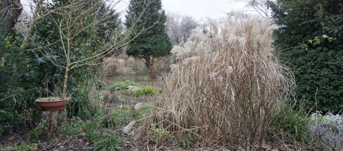 Venez dans le jardin d'André Eve